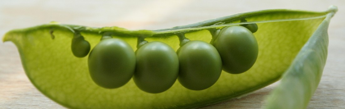 Peas in a pod