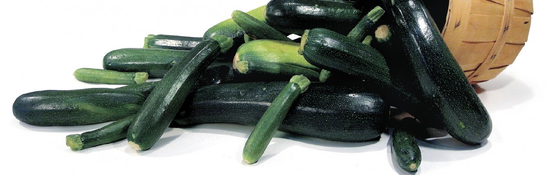 Courgettes