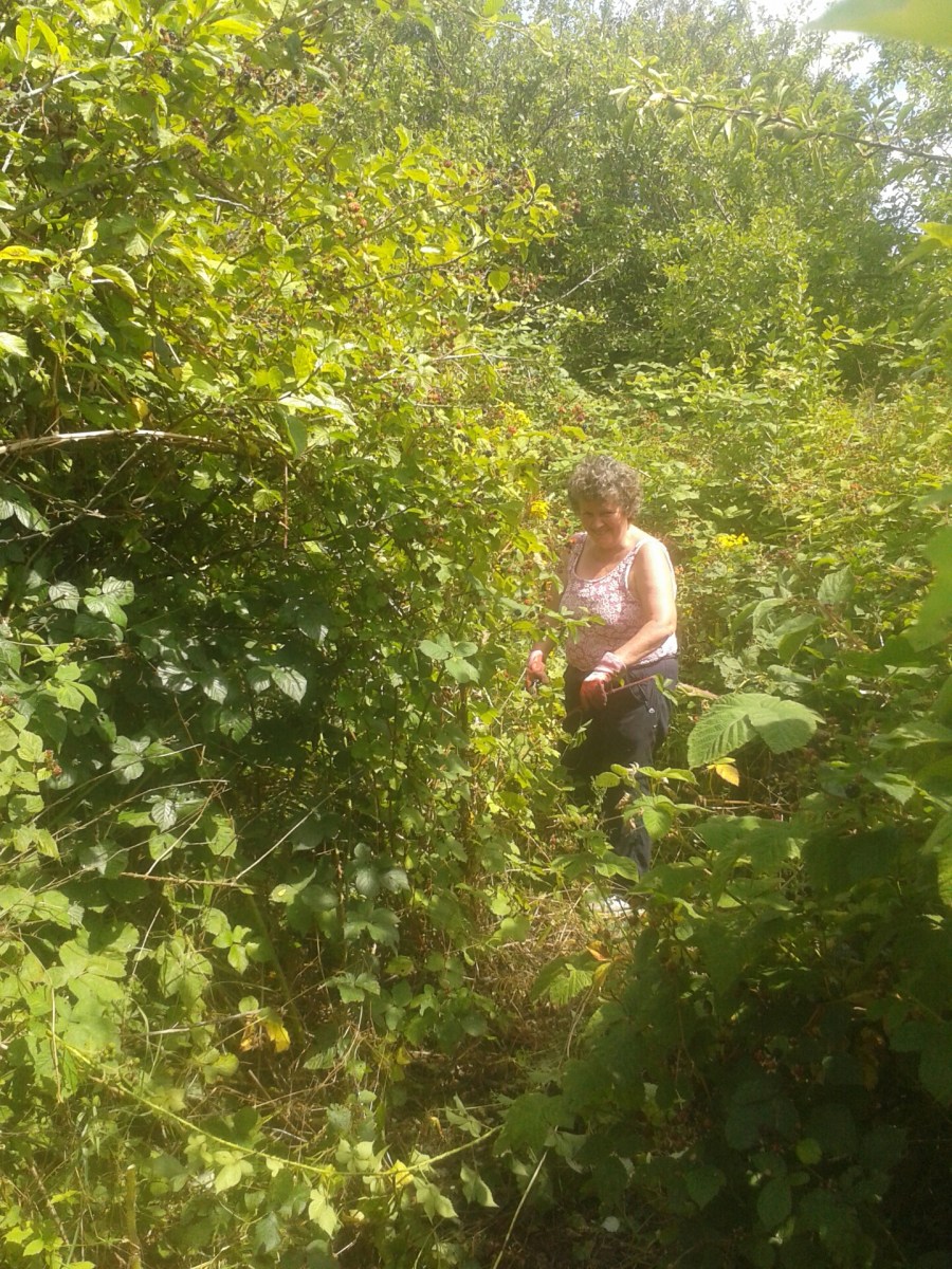 Jane clearing brambles